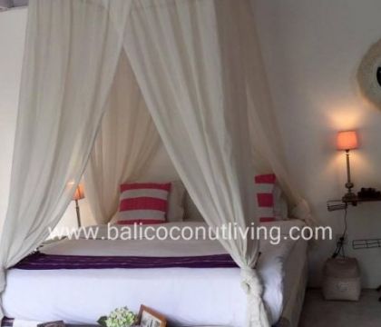 Exotic Villa