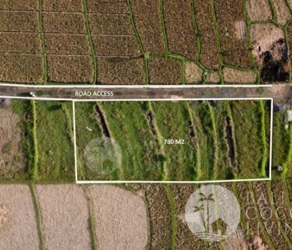 780 Sqm land, For rent