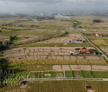 780 Sqm land, For rent