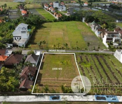10 Are land, For rent