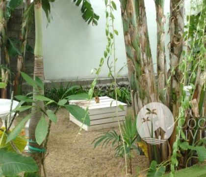 Laura Residence
