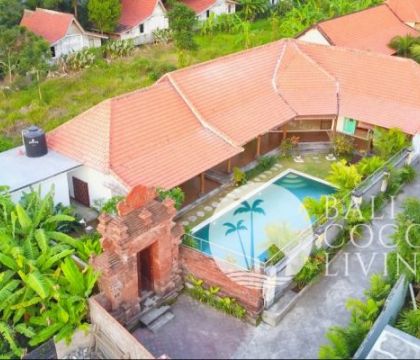 Owl Villa