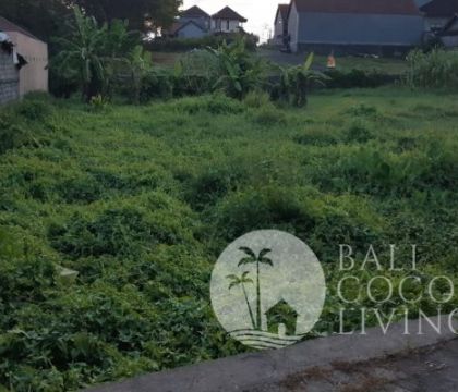 Land 5 Are, for lease