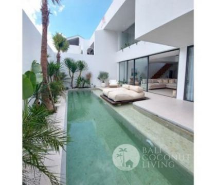 Villa Harvey 2