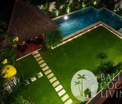 Villa Chameleon