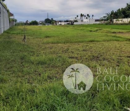16,80 Are, Land for rent