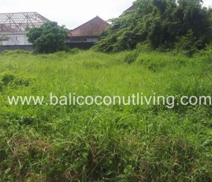 Land for Lease Canggu