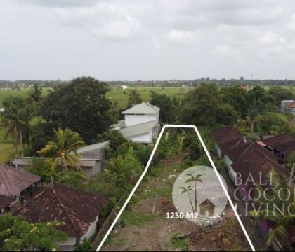 1250 Sqm, Land for sale