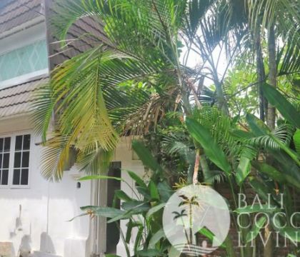 Rumah White Rose