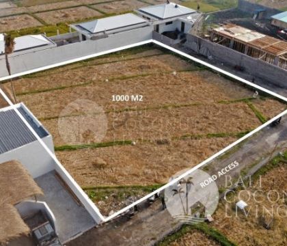For rent, 1000 sqm Land