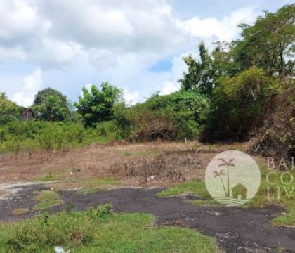 For sale 600 sqm land
