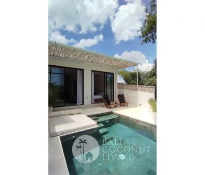 Villa Jungle 2