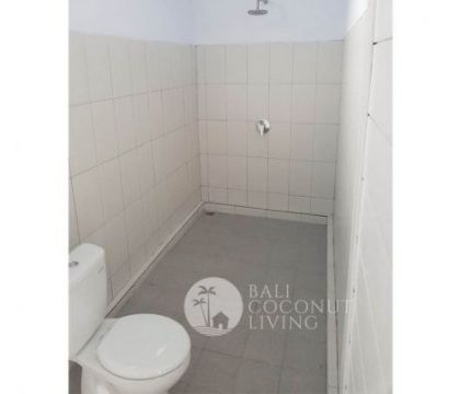 Villa White Rose