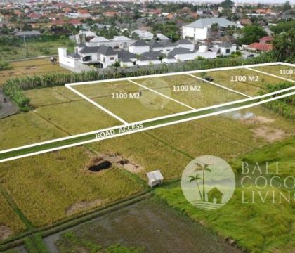 For lease, 44 Are land