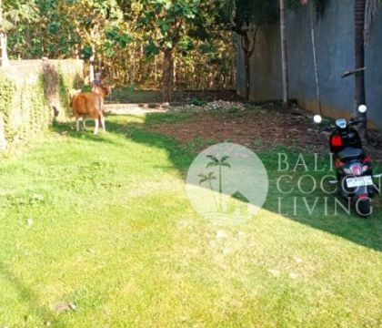 For sale, 865 sqm land