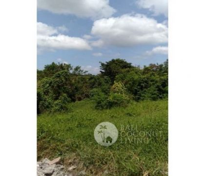 For sale, 500 sqm land 