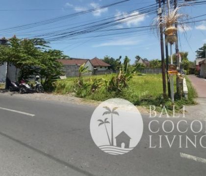 Land For Rent 11 are
