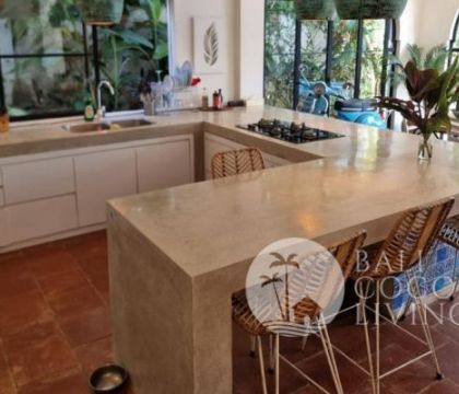 Villa Peluang