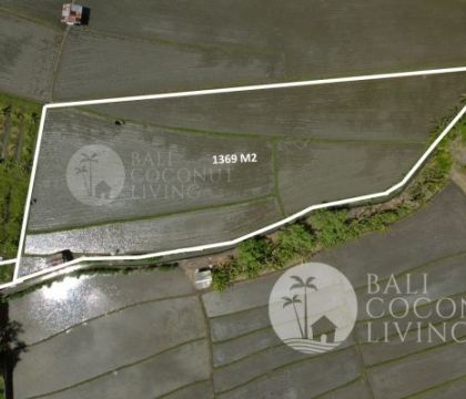 1369 Sqm, Land For Rent 