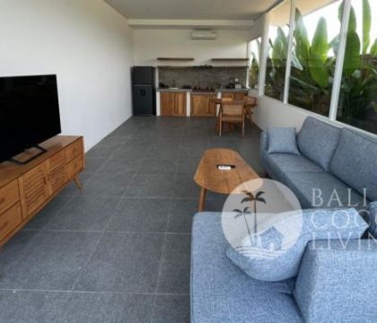 Villa Lonaris Seseh A