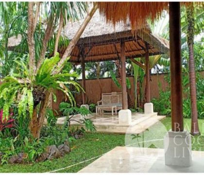 Rumah Kiwi