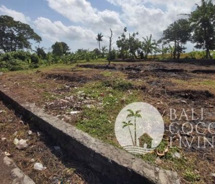 10 Are, Land for rent