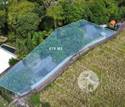 675 Sqm Land For Sale - Pererenan