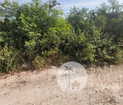 1430 Sqm, Land for rent