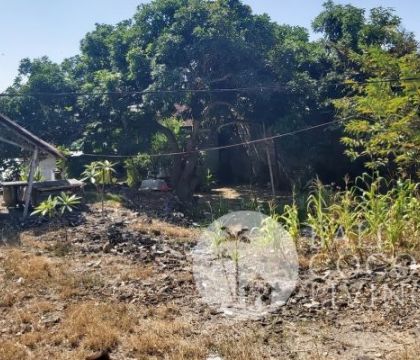 720 Sqm, Land for lease