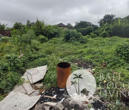 Land for lease 6 are