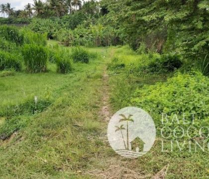 10 Are Land  for sale