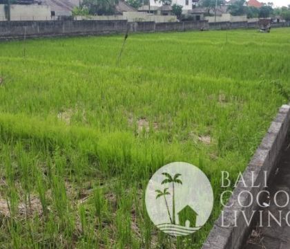 Land For Rent 28 are