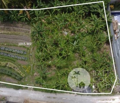 For sale, 10,15 are Land