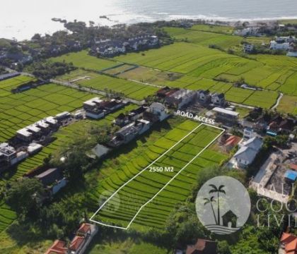 For lease, 25,5 Are land