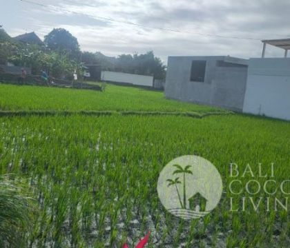 Land 7 are, For rent 