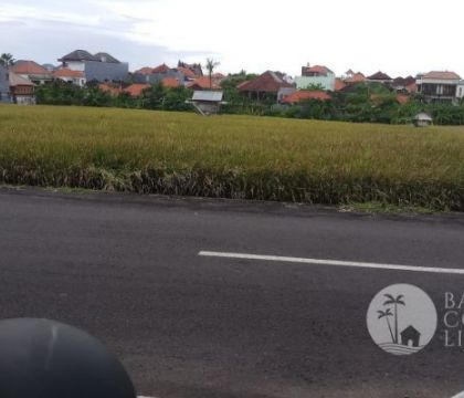 141 Are Land, For rent