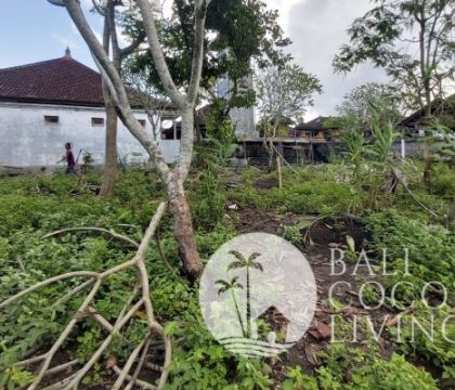Land for lease 14 are