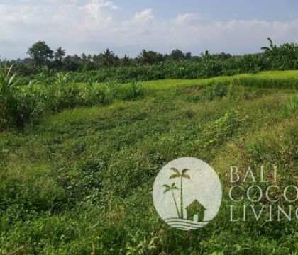 6 Are, Land For Sale