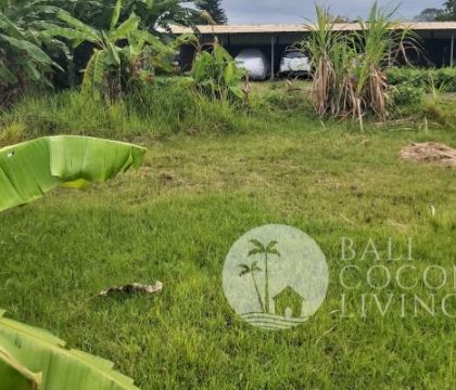 1420 Sqm, Land for sale