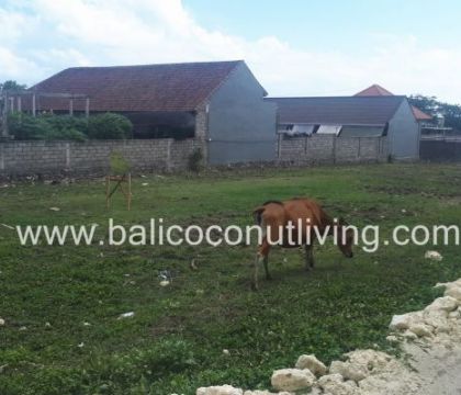 Land for Lease Umalas 18,75 sqm