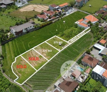 For rent,  375 Sqm Land For Rent