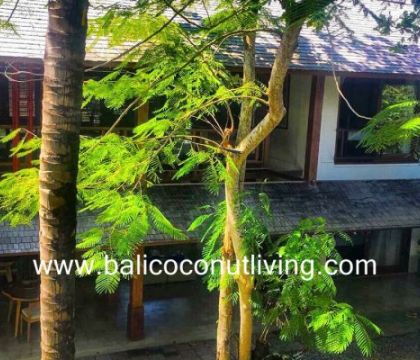Finch Villa 