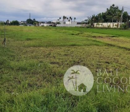 16,80 Are, Land for rent