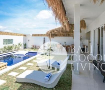 Palm Blue Villa