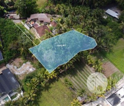 10,5 ARE LAND FOR SALE IN ABIANSEMAL- FREEHOLD