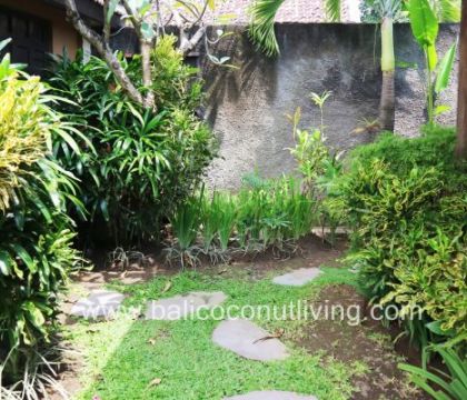 Villa Banana 1