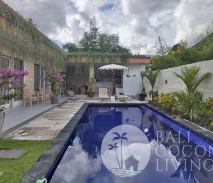 Villa Dobil
