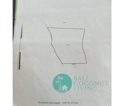 Land 300 sqm, For lease