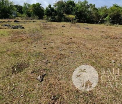 20,000 Sqm land, For sale