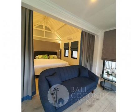 Leo Apartment Seminyak 3